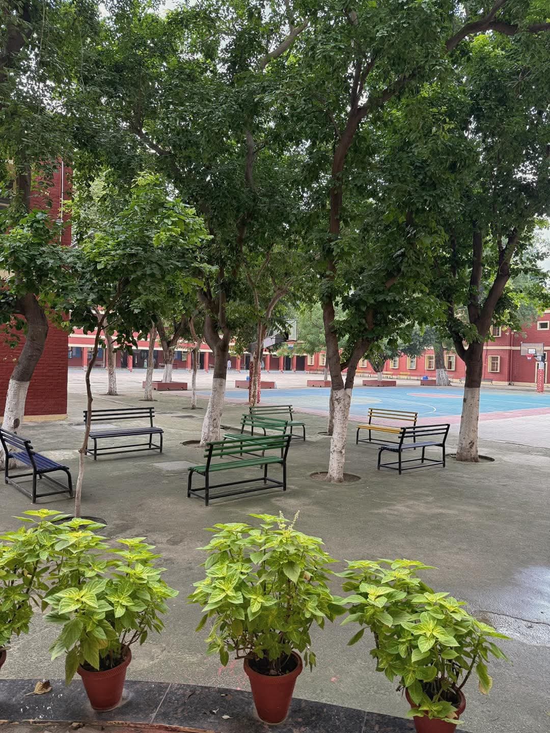 whatsapp image 2025 08 04 at 10.46.18 (1)